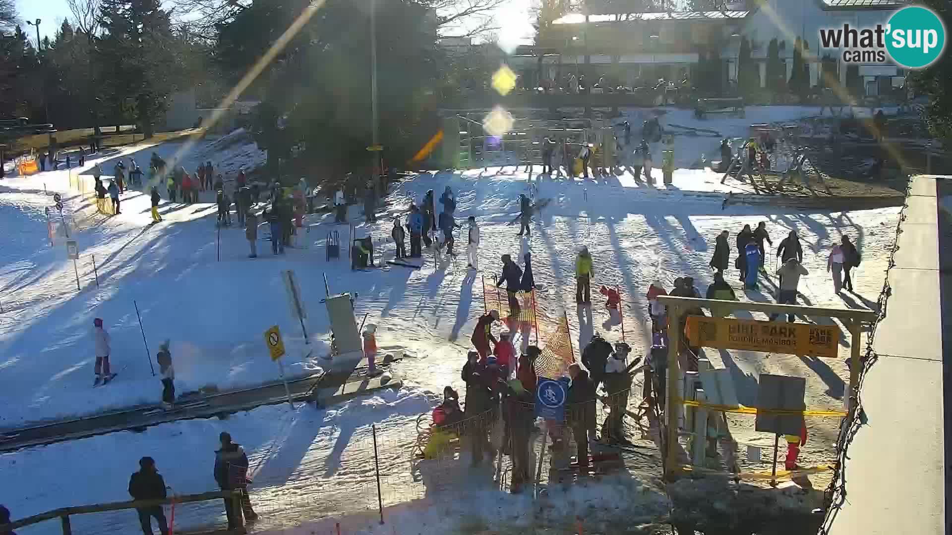 Ski resort Maribor Pohorje Bellevue