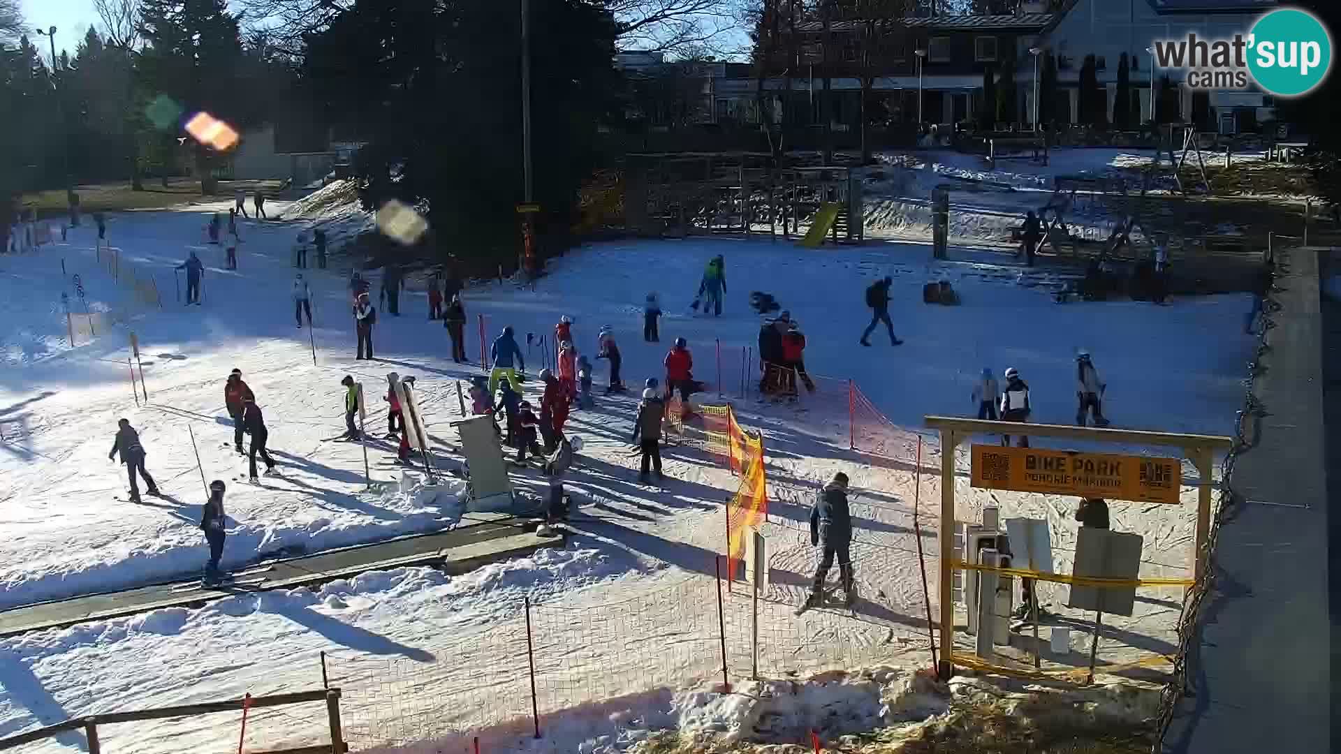 Estacion esqui  en vivo Maribor Pohorje – Bellevue