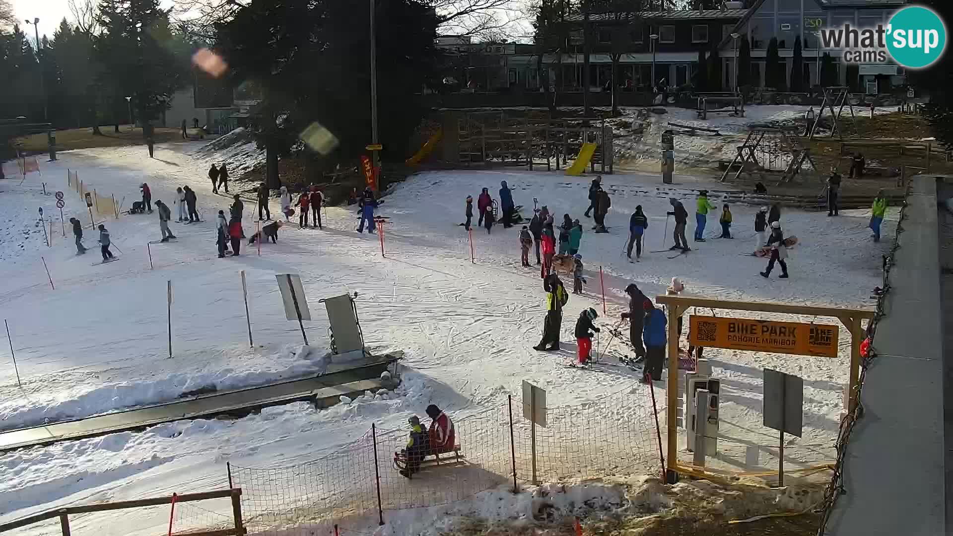 Station ski Livecam Maribor Pohorje – Bellevue