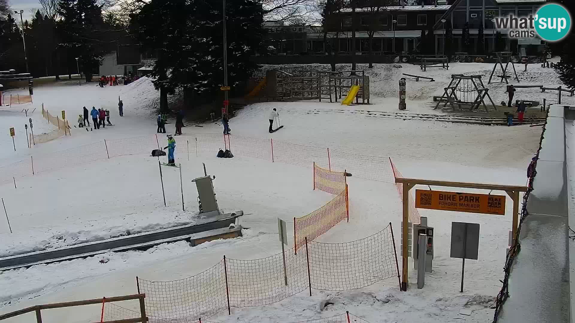 Livecam Skigebiet Maribor Pohorje – Bellevue