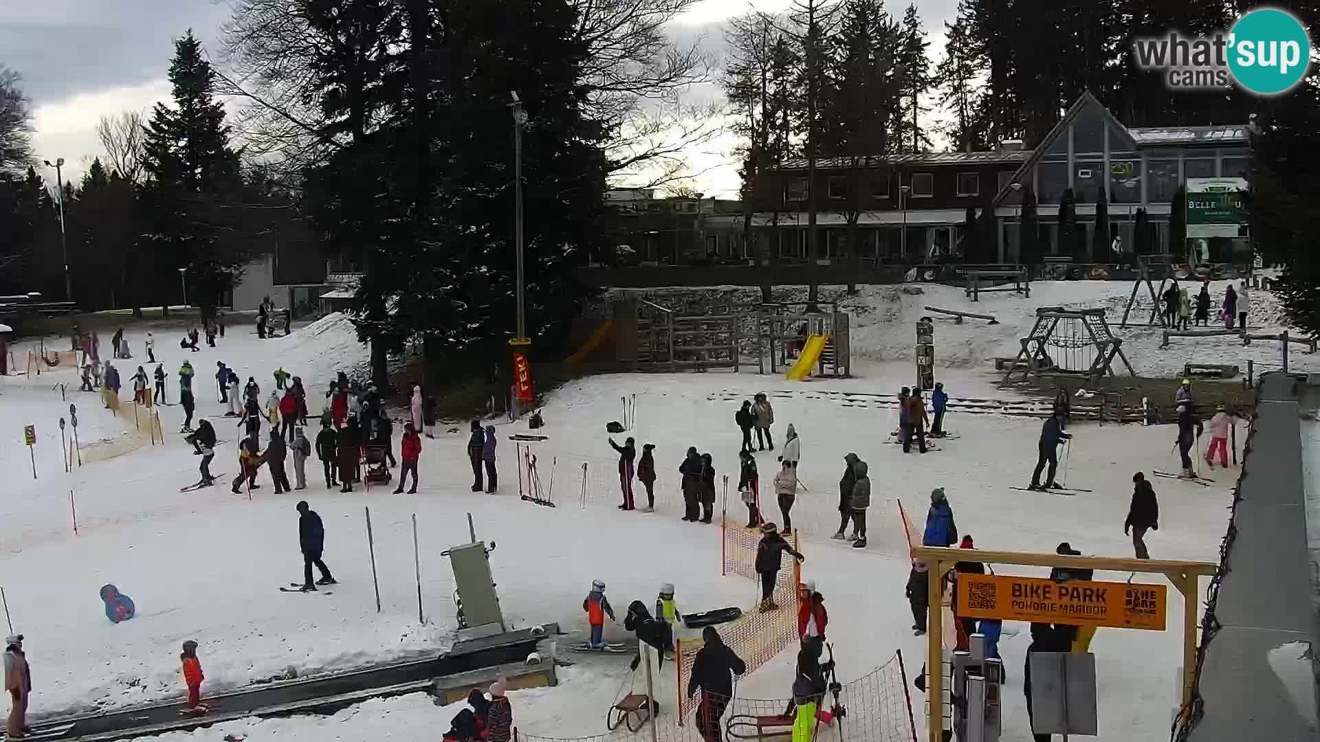 Skigebiet Maribor Pohorje Bellevue