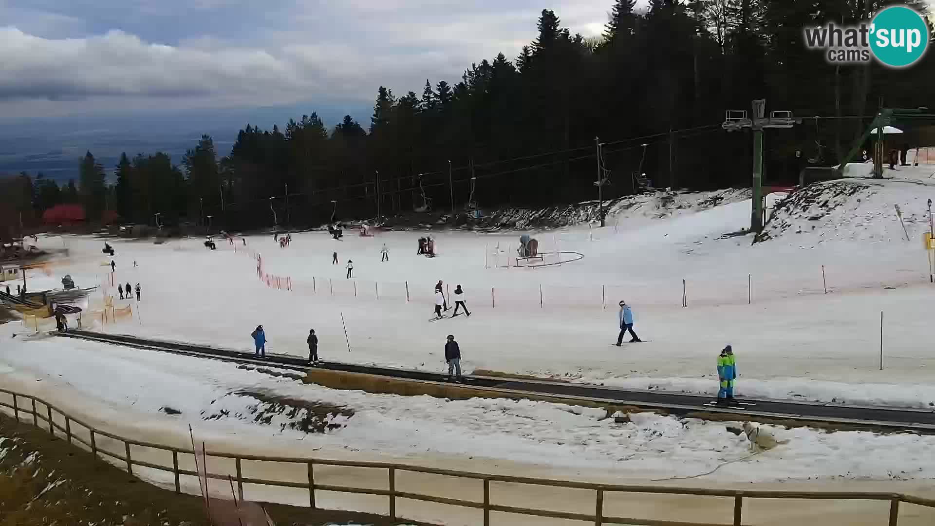 U živo Mariborsko Pohorje – Bellevue