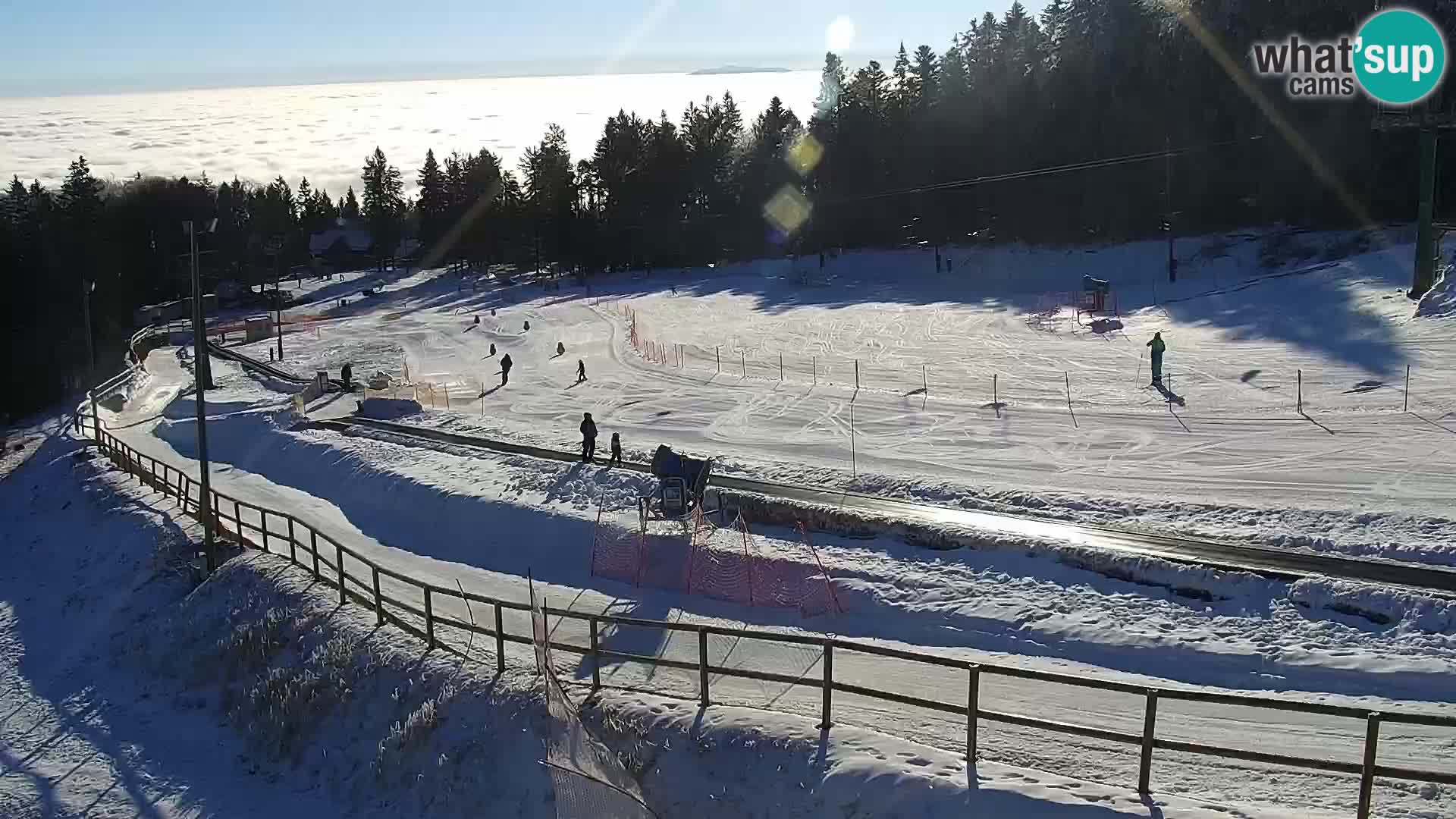 Livecam Maribor Pohorje – Bellevue