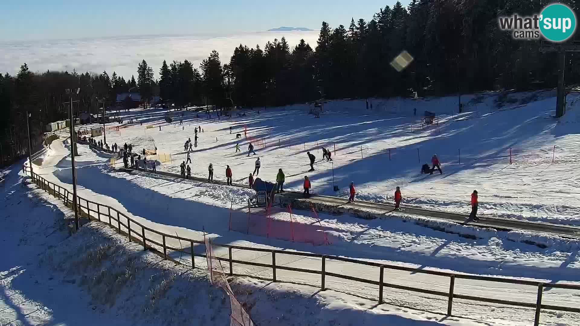 V živo Mariborsko Pohorje – Bellevue