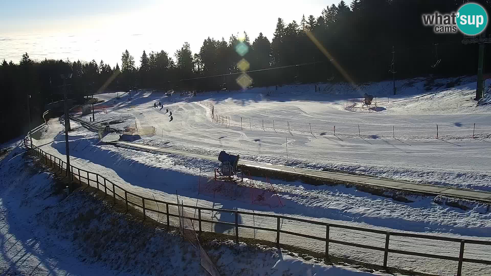 Estacion esqui  en vivo Maribor Pohorje – Bellevue