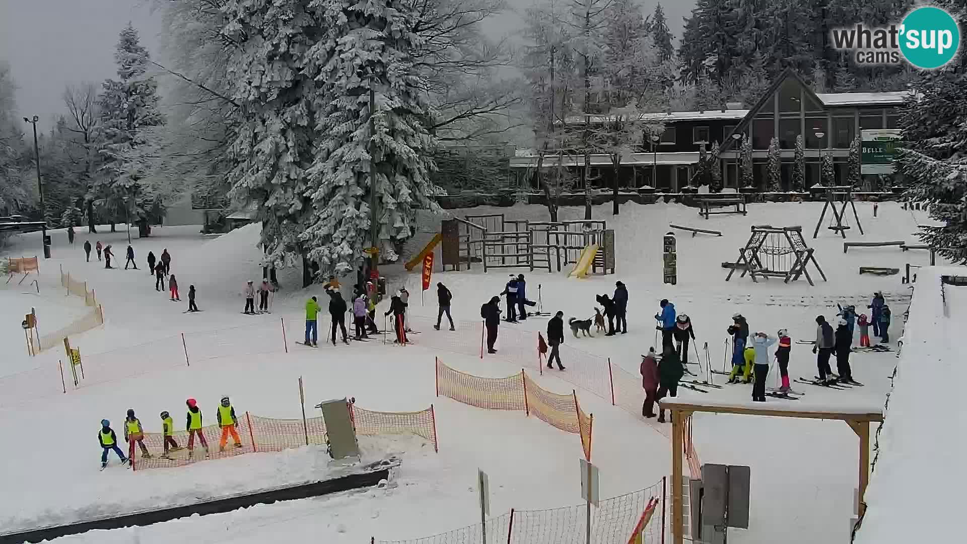 V živo Mariborsko Pohorje – Bellevue