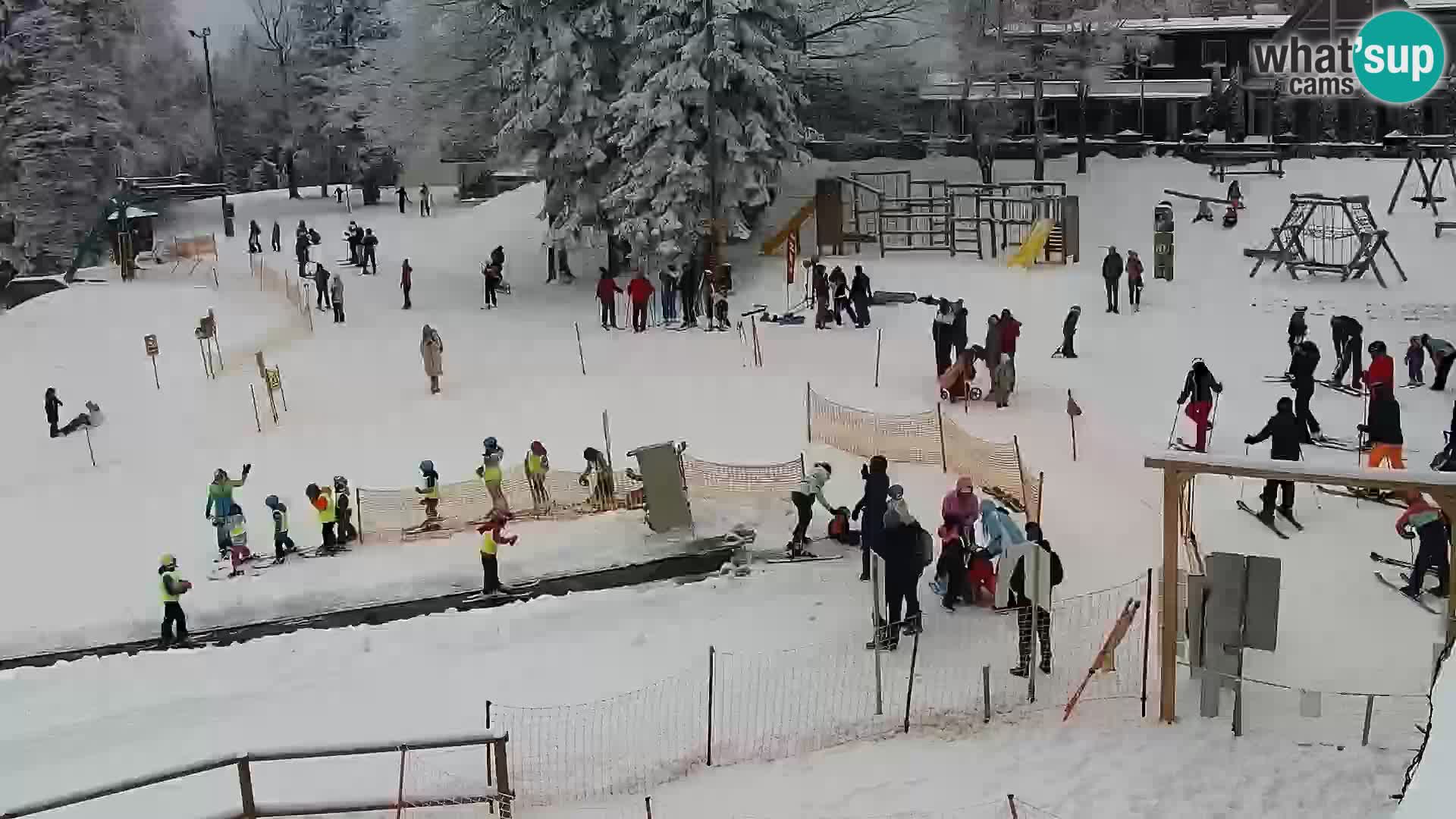 V živo Mariborsko Pohorje – Bellevue