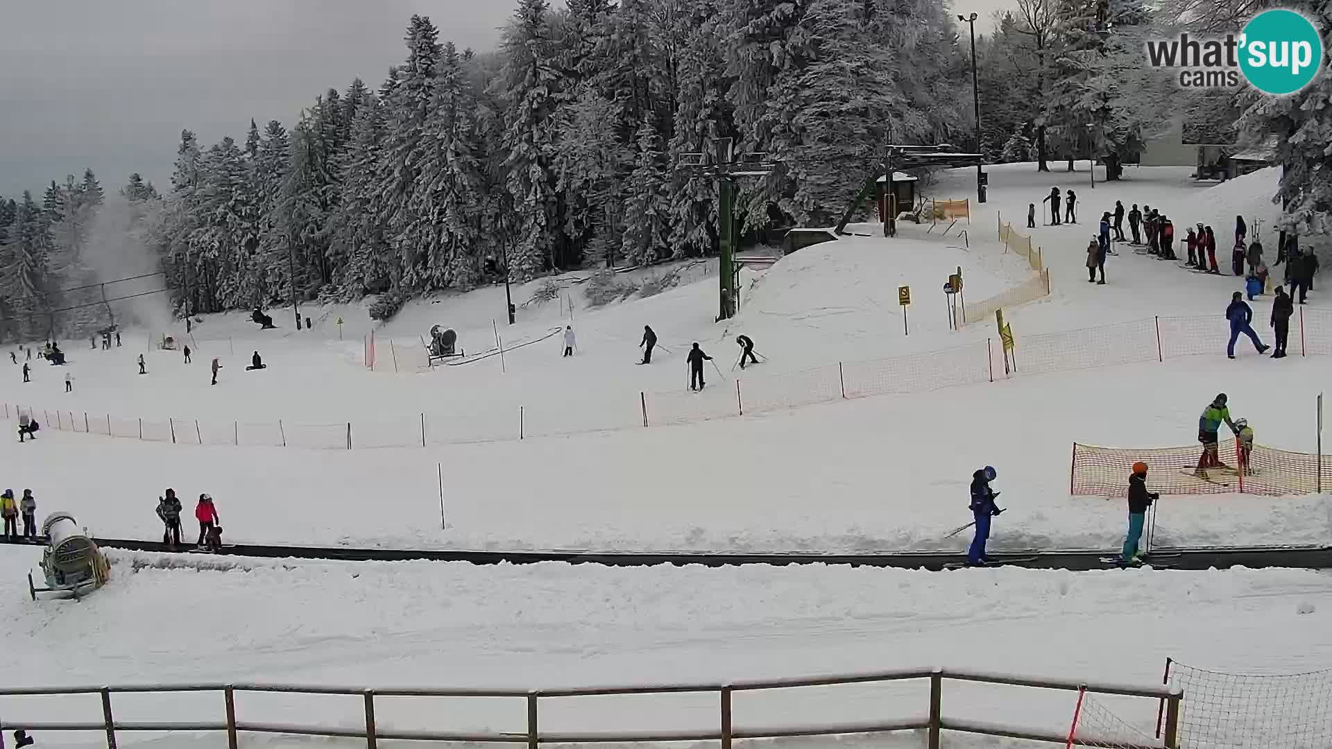 Mariborsko Pohorje Bellevue