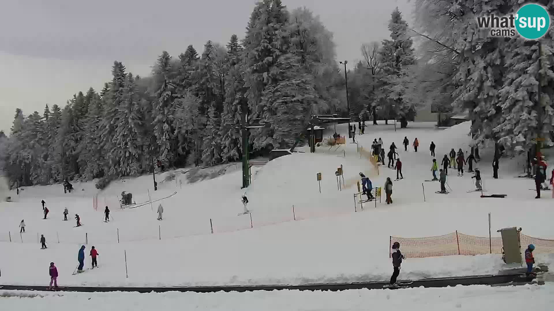 Ski resort Maribor Pohorje Bellevue