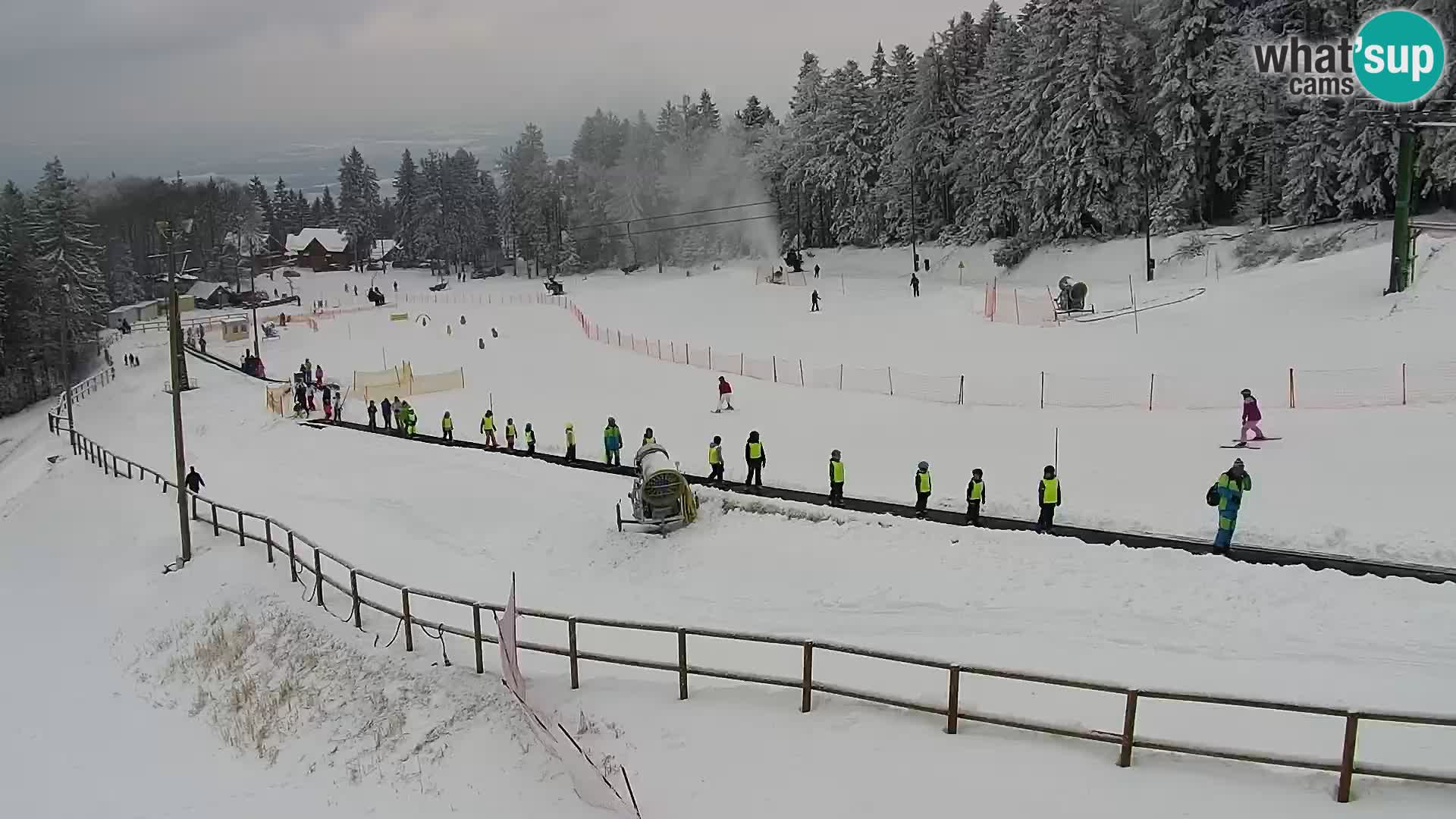 Ski resort Maribor Pohorje Bellevue