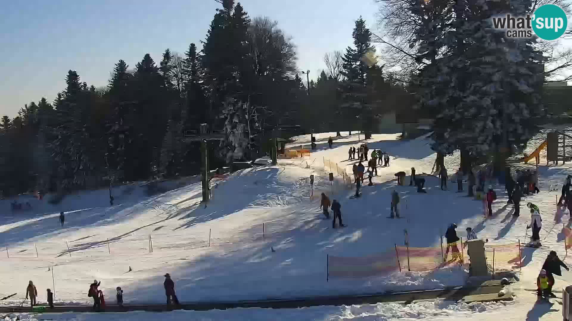 V živo Mariborsko Pohorje – Bellevue