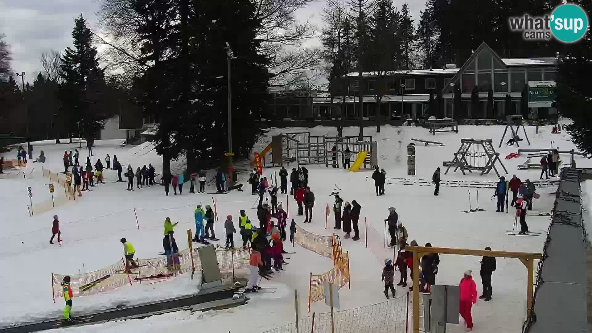 V živo Mariborsko Pohorje – Bellevue