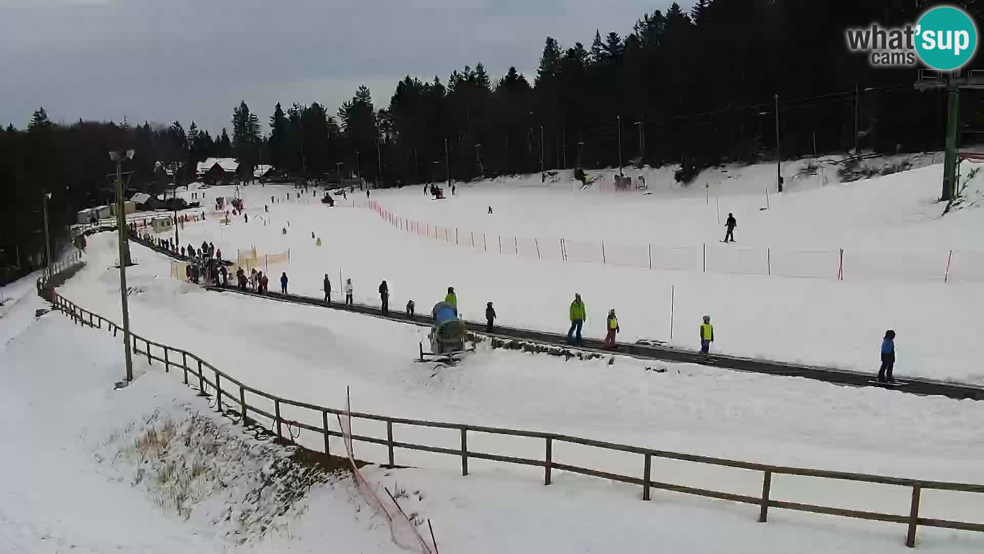 V živo Mariborsko Pohorje – Bellevue