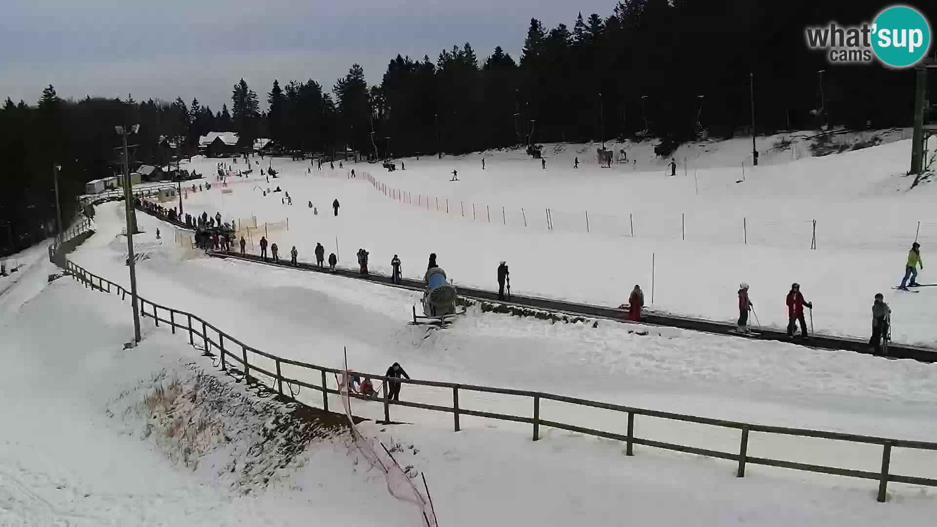 Station ski Livecam Maribor Pohorje – Bellevue