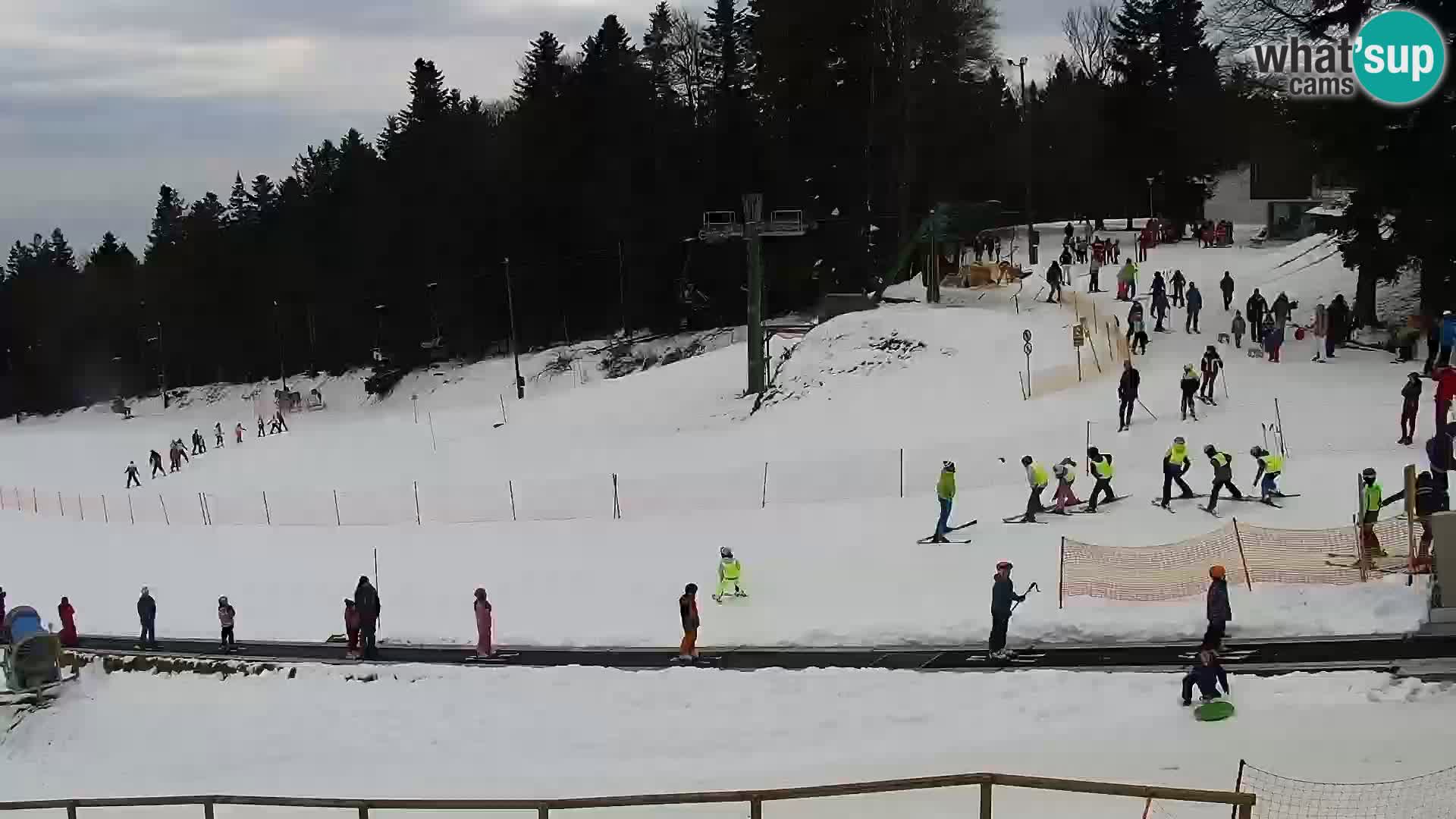 Livecam Skigebiet Maribor Pohorje – Bellevue