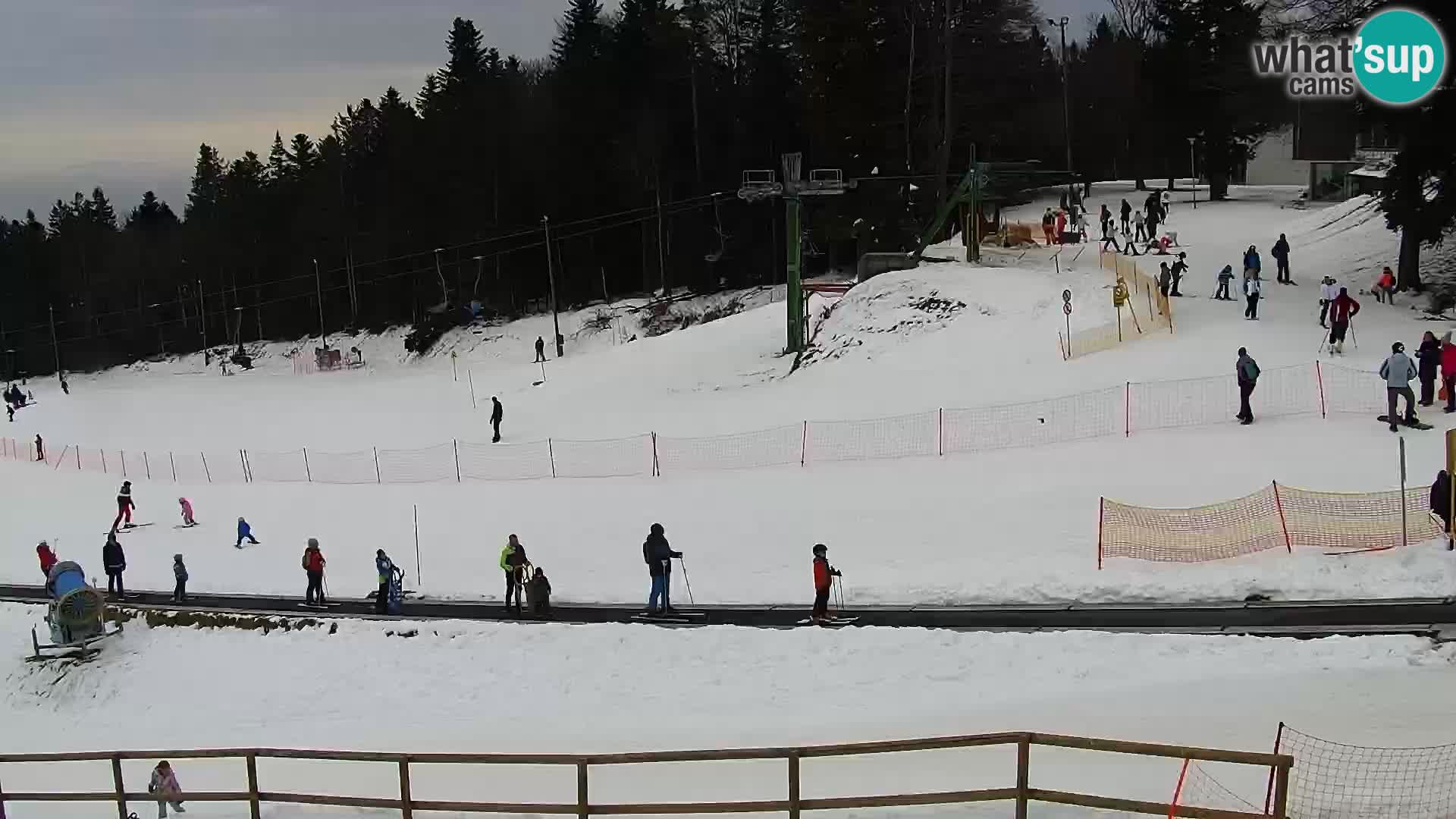 Webcam Maribor Pohorje – Bellevue