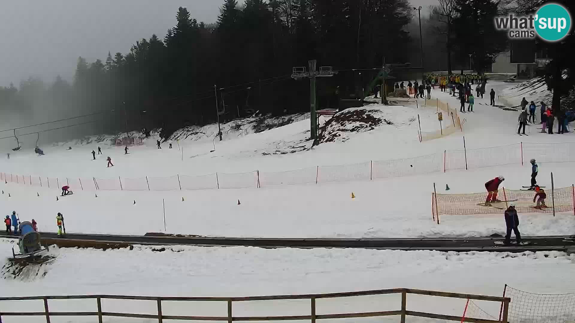 Webcam Maribor Pohorje – Bellevue