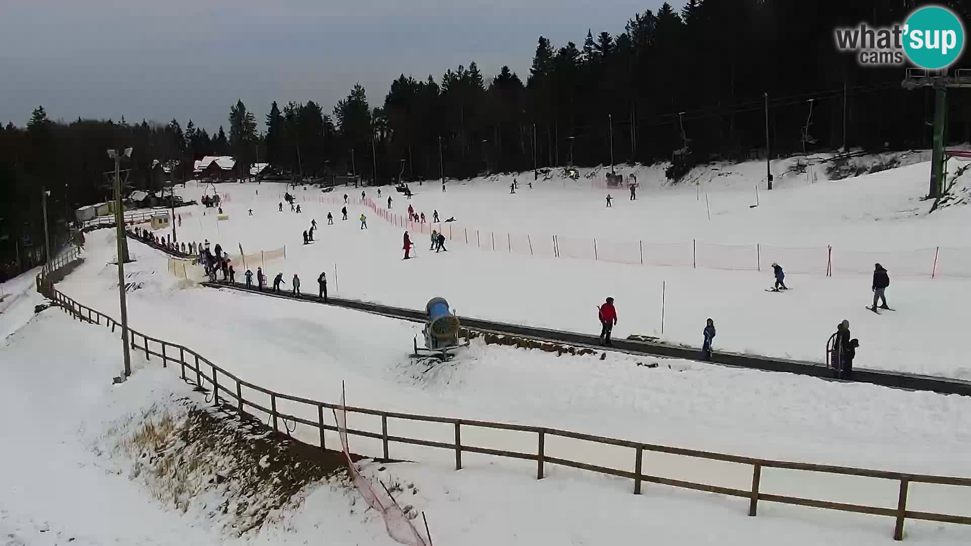 Station ski Maribor Pohorje – Bellevue