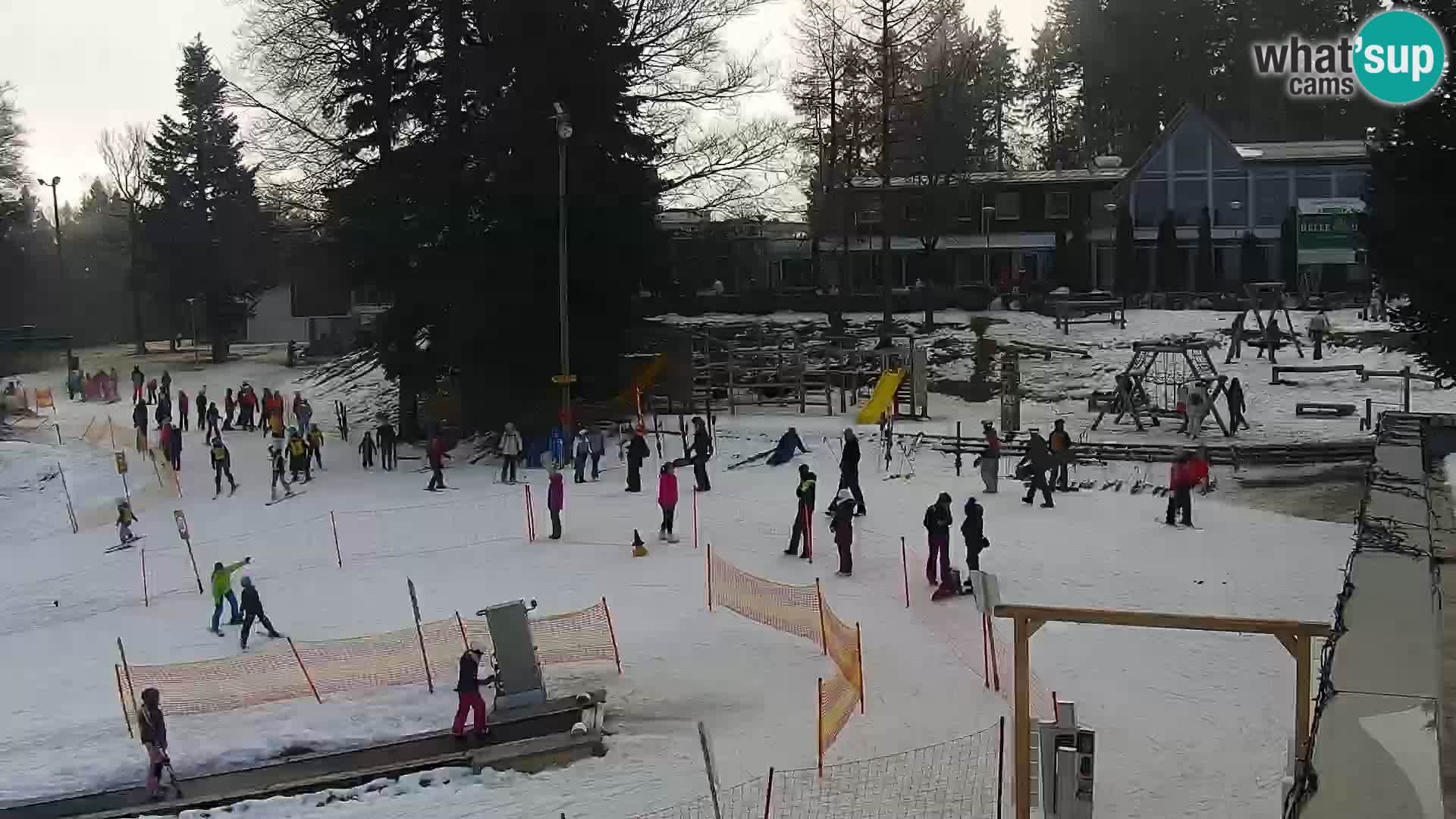 Estacion esqui  en vivo Maribor Pohorje – Bellevue