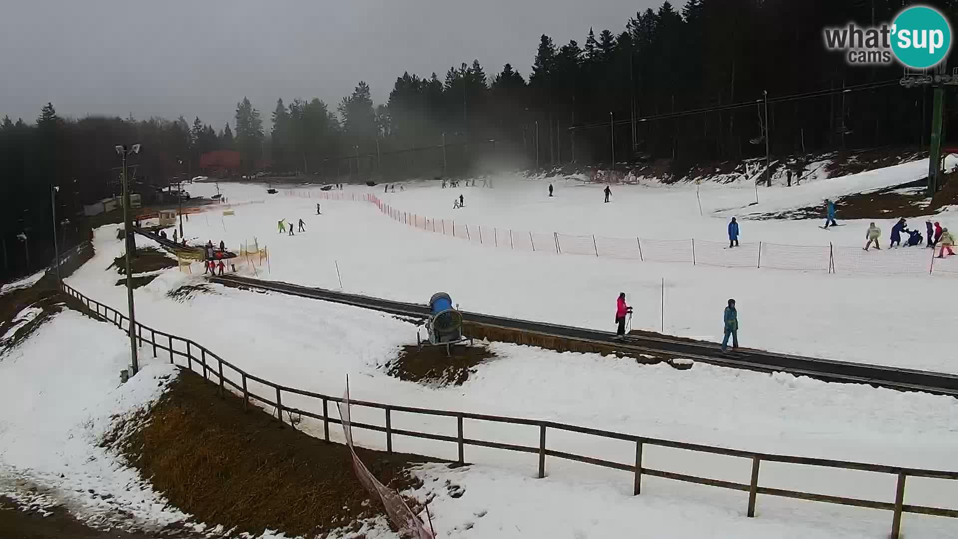 Estacion esqui  en vivo Maribor Pohorje – Bellevue