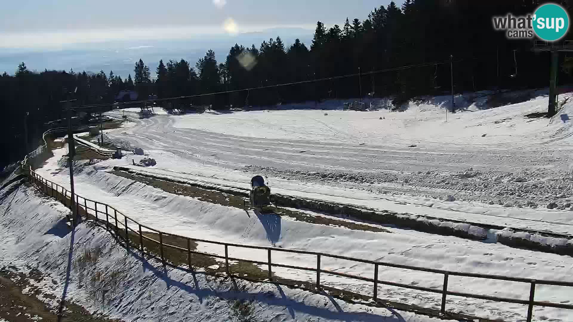 Estacion esqui  en vivo Maribor Pohorje – Bellevue