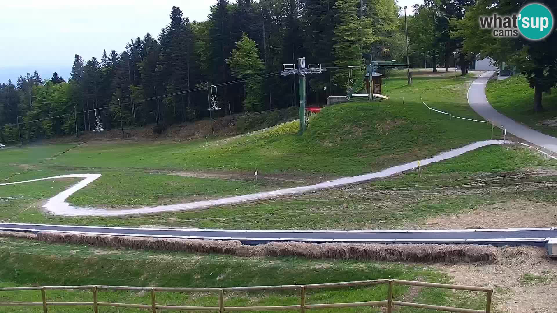 V živo Mariborsko Pohorje – Bellevue