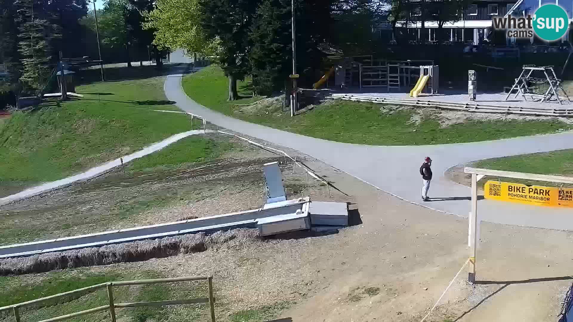 Webcam Maribor Pohorje – Bellevue