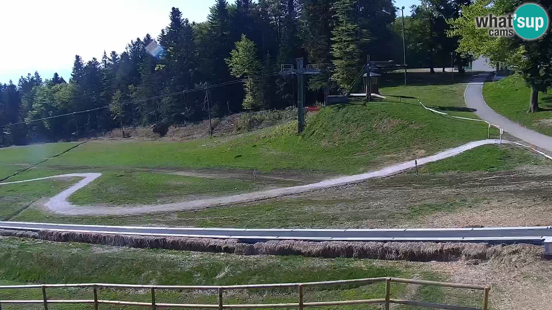Estacion esqui  en vivo Maribor Pohorje – Bellevue