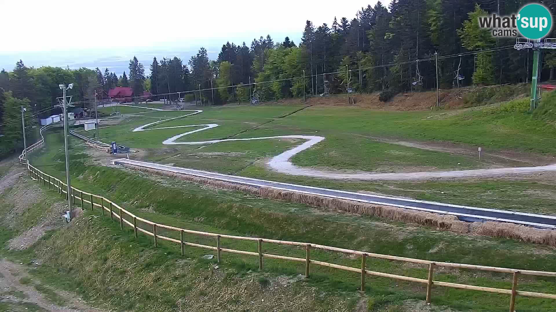 Estacion esqui  en vivo Maribor Pohorje – Bellevue