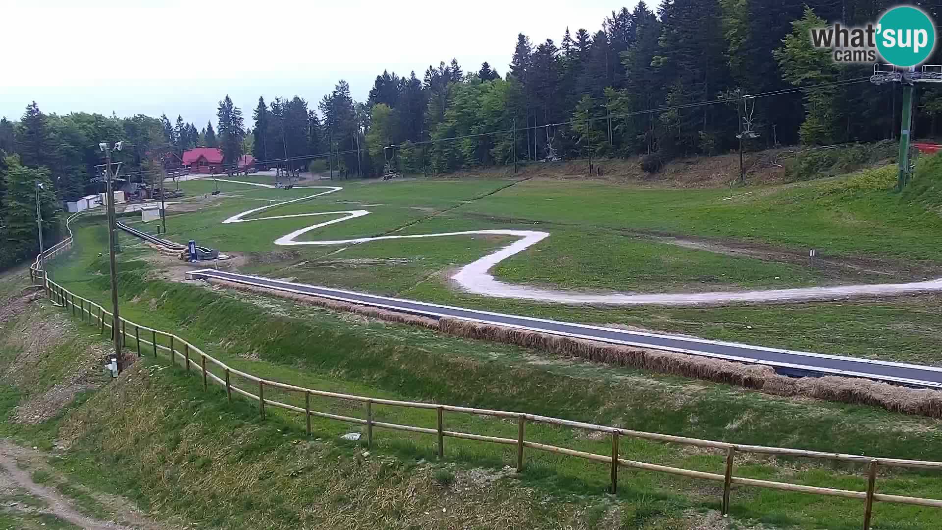U živo Mariborsko Pohorje – Bellevue