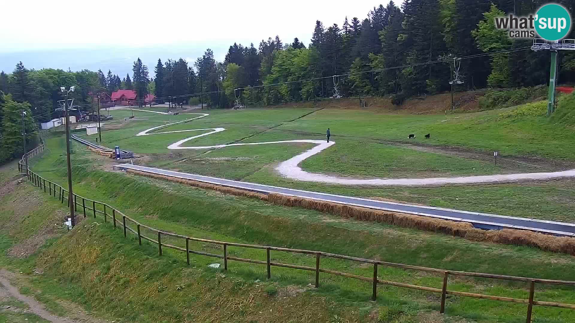 Station ski Livecam Maribor Pohorje – Bellevue