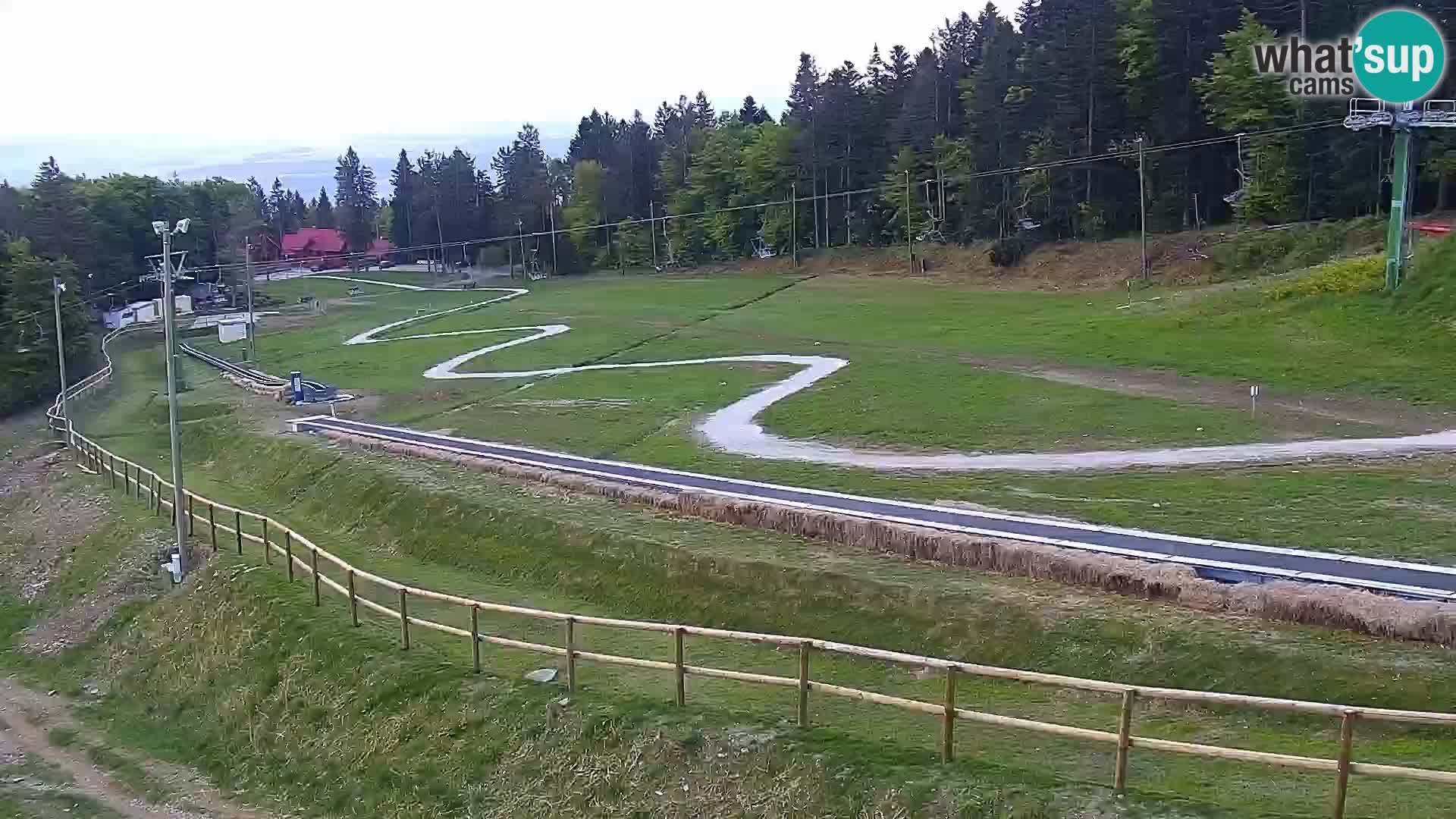U živo Mariborsko Pohorje – Bellevue