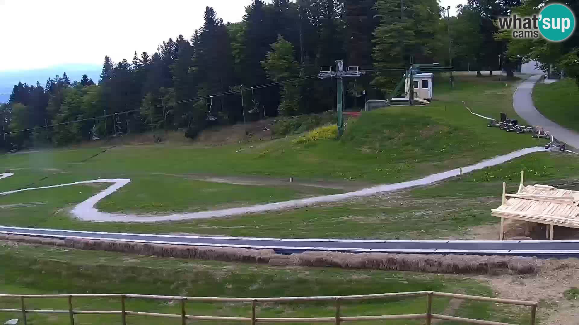 U živo Mariborsko Pohorje – Bellevue
