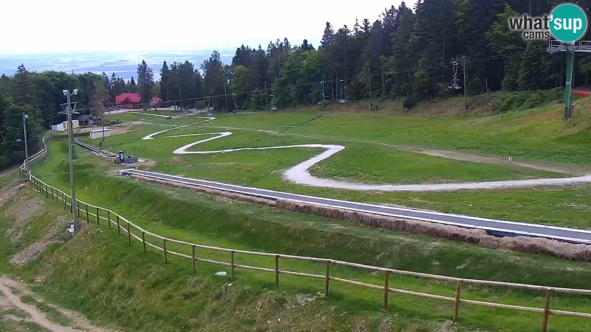 V živo Mariborsko Pohorje – Bellevue