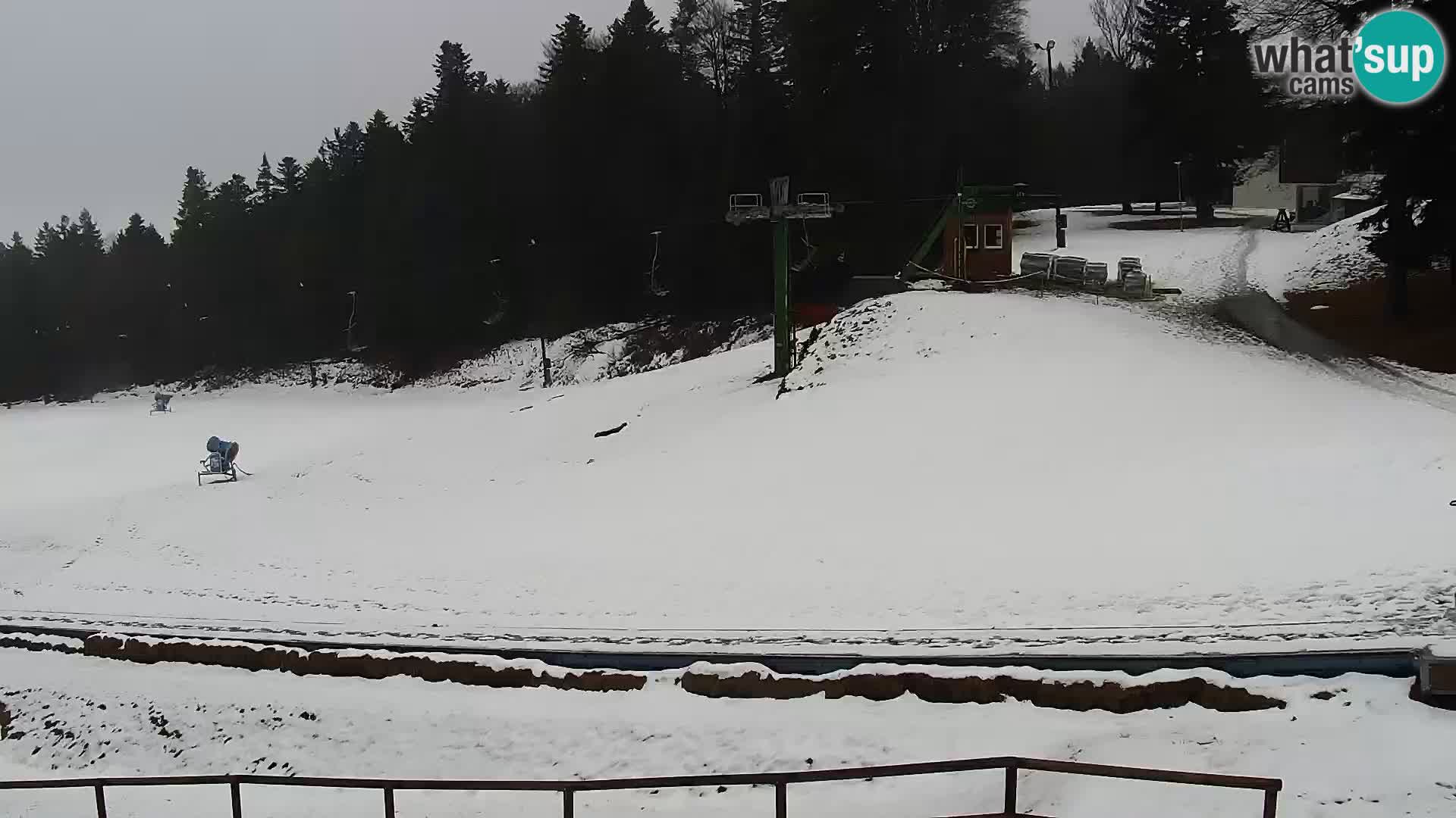 Estacion esqui  en vivo Maribor Pohorje – Bellevue