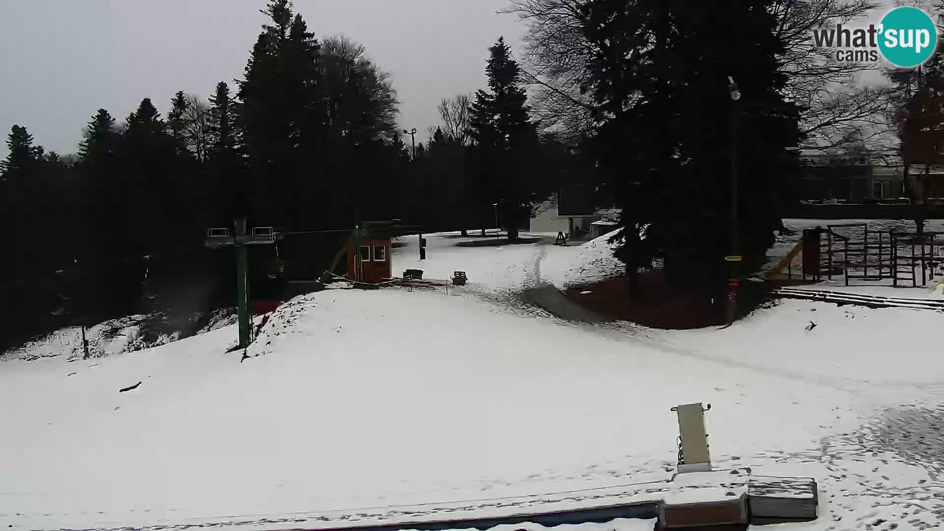 Station ski Livecam Maribor Pohorje – Bellevue