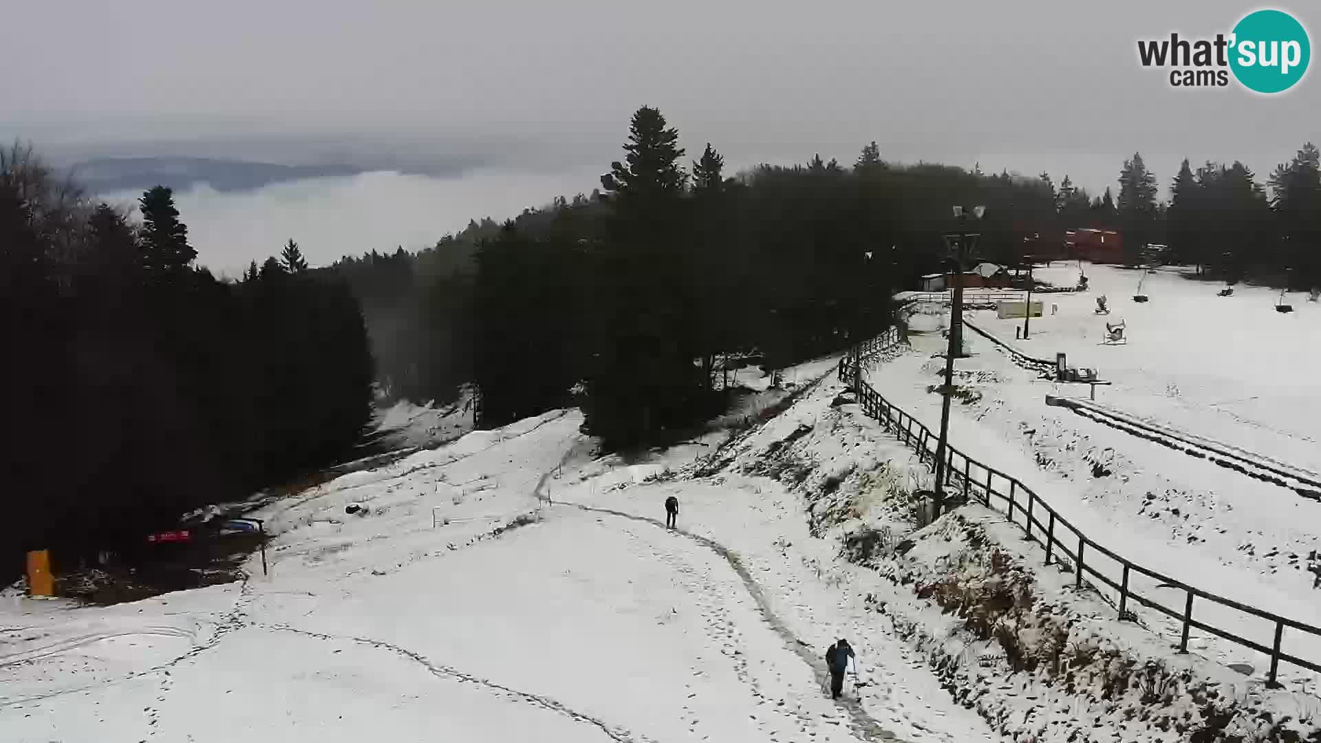 U živo Mariborsko Pohorje – Bellevue