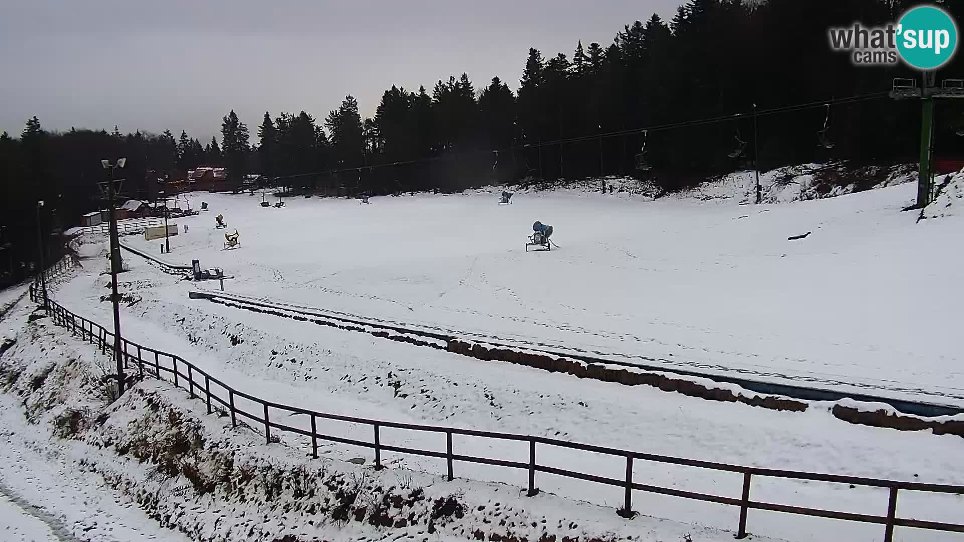 U živo Mariborsko Pohorje – Bellevue