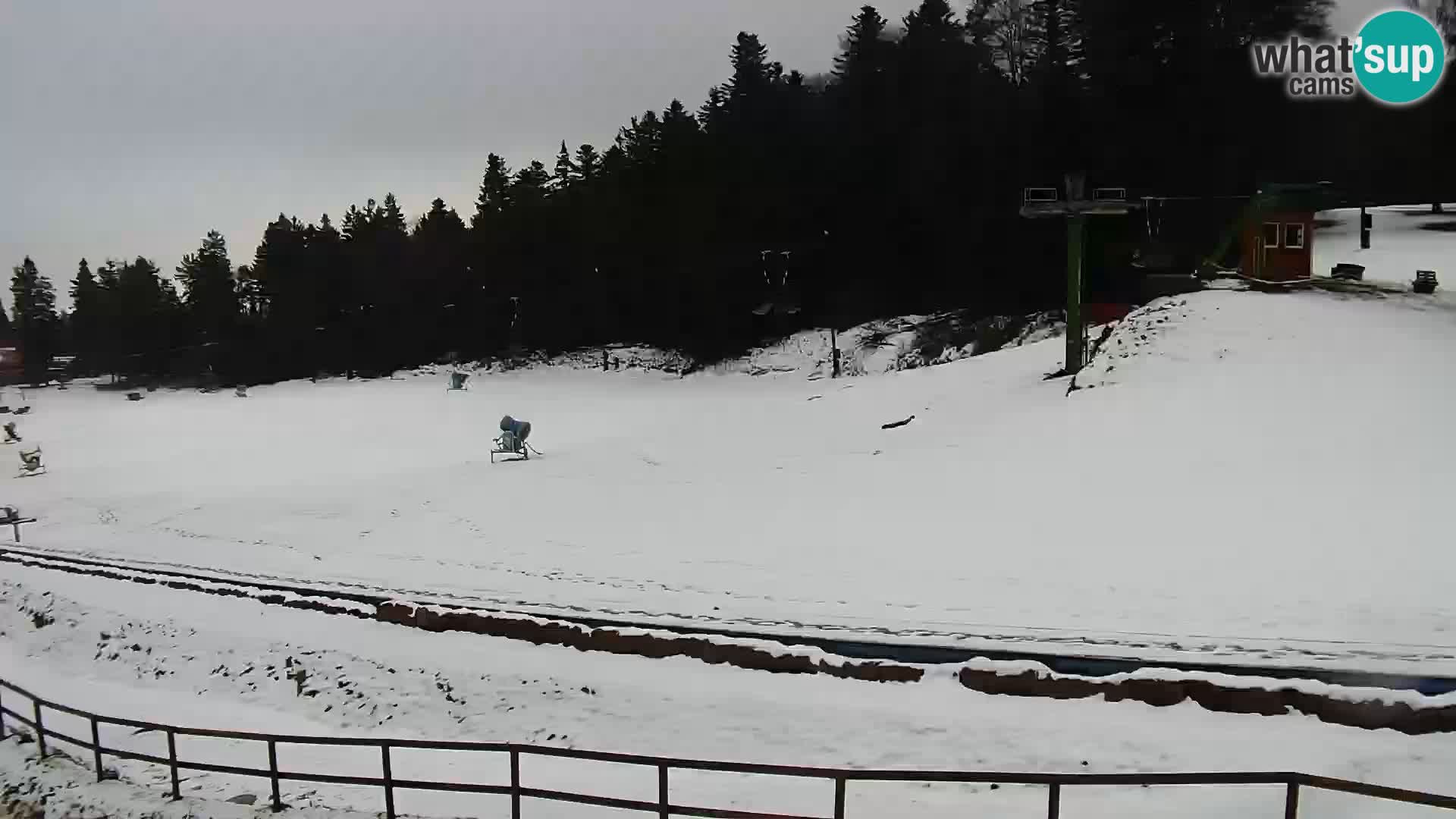 Estacion esqui en vivo Maribor Pohorje – Bellevue