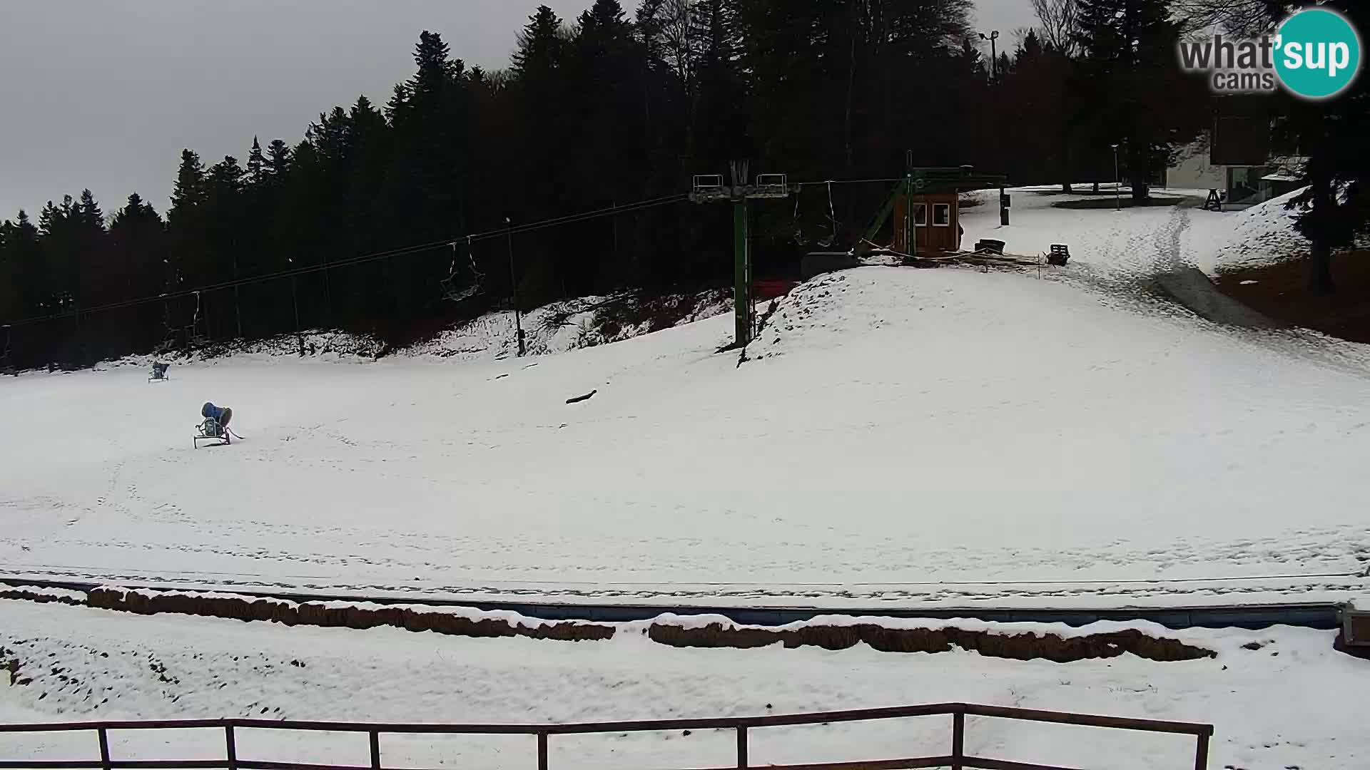 Webcam Maribor Pohorje – Bellevue