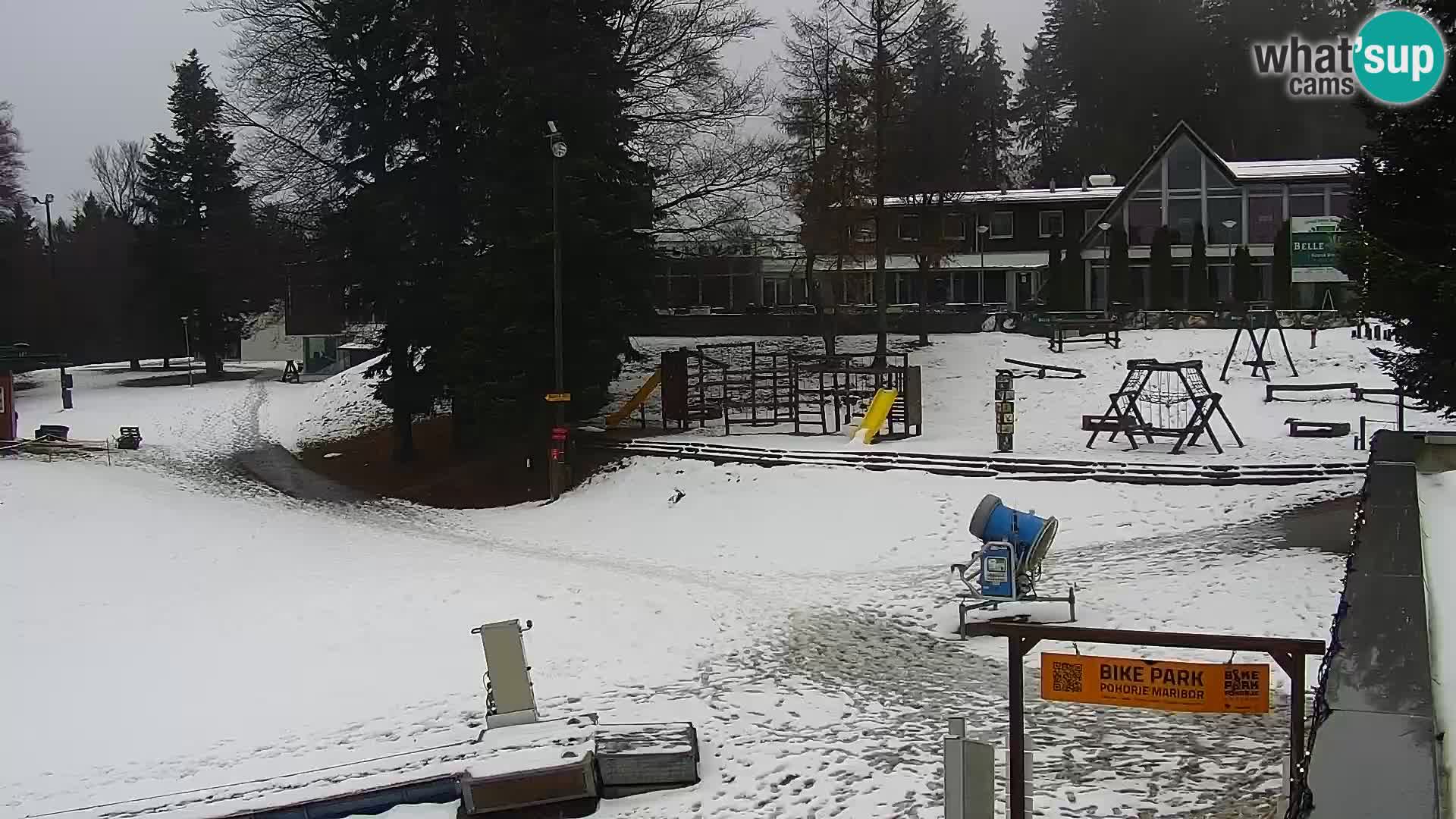 Webcam Maribor Pohorje – Bellevue