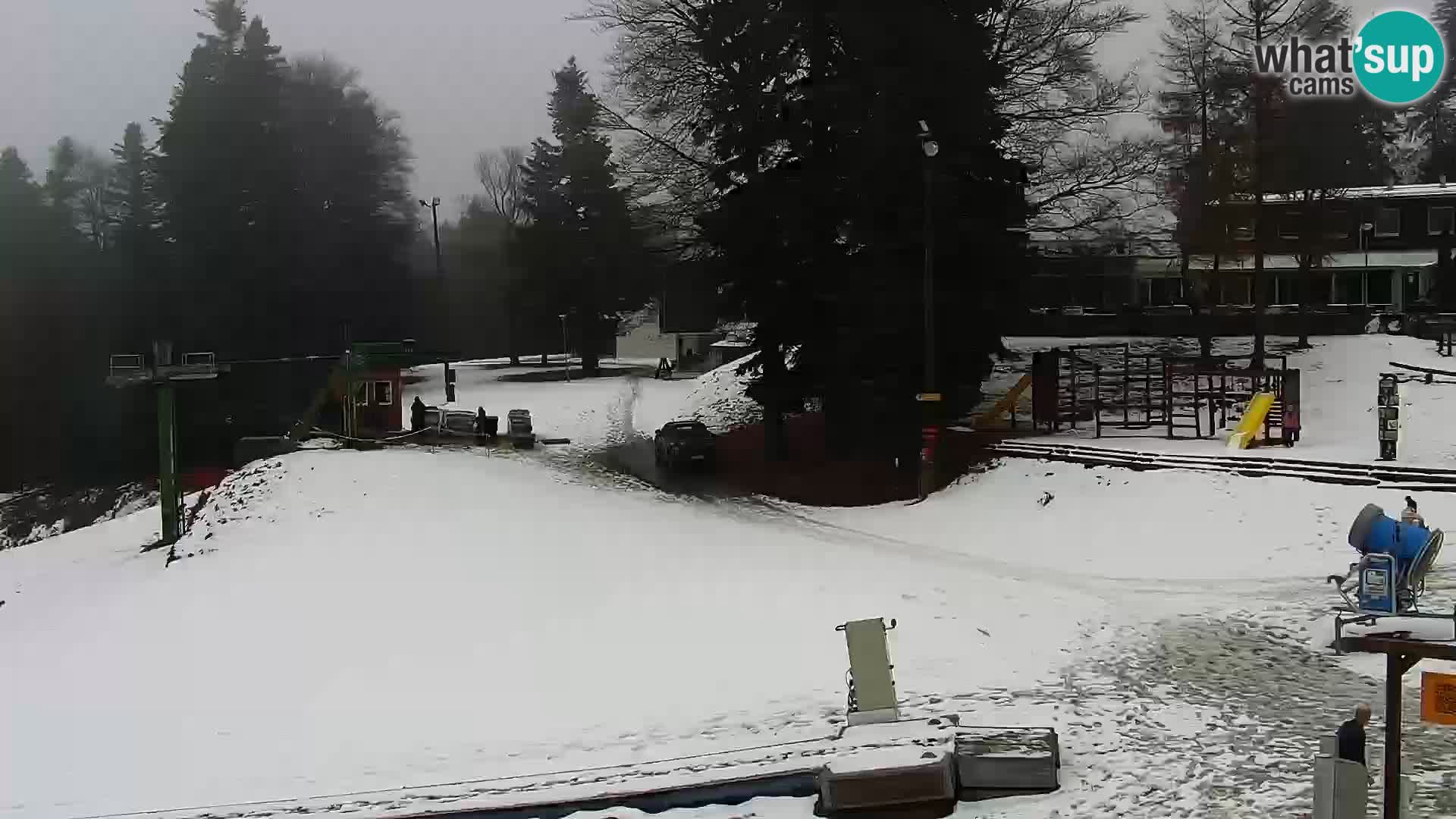 Webcam Maribor Pohorje – Bellevue