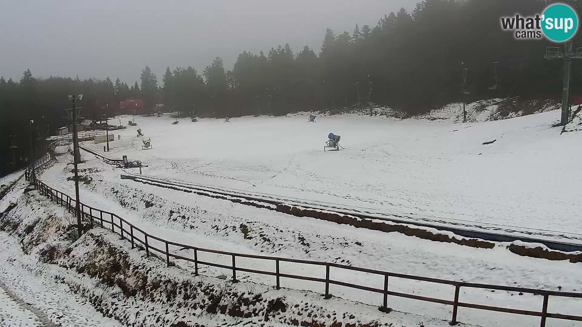 Estacion esqui en vivo Maribor Pohorje – Bellevue