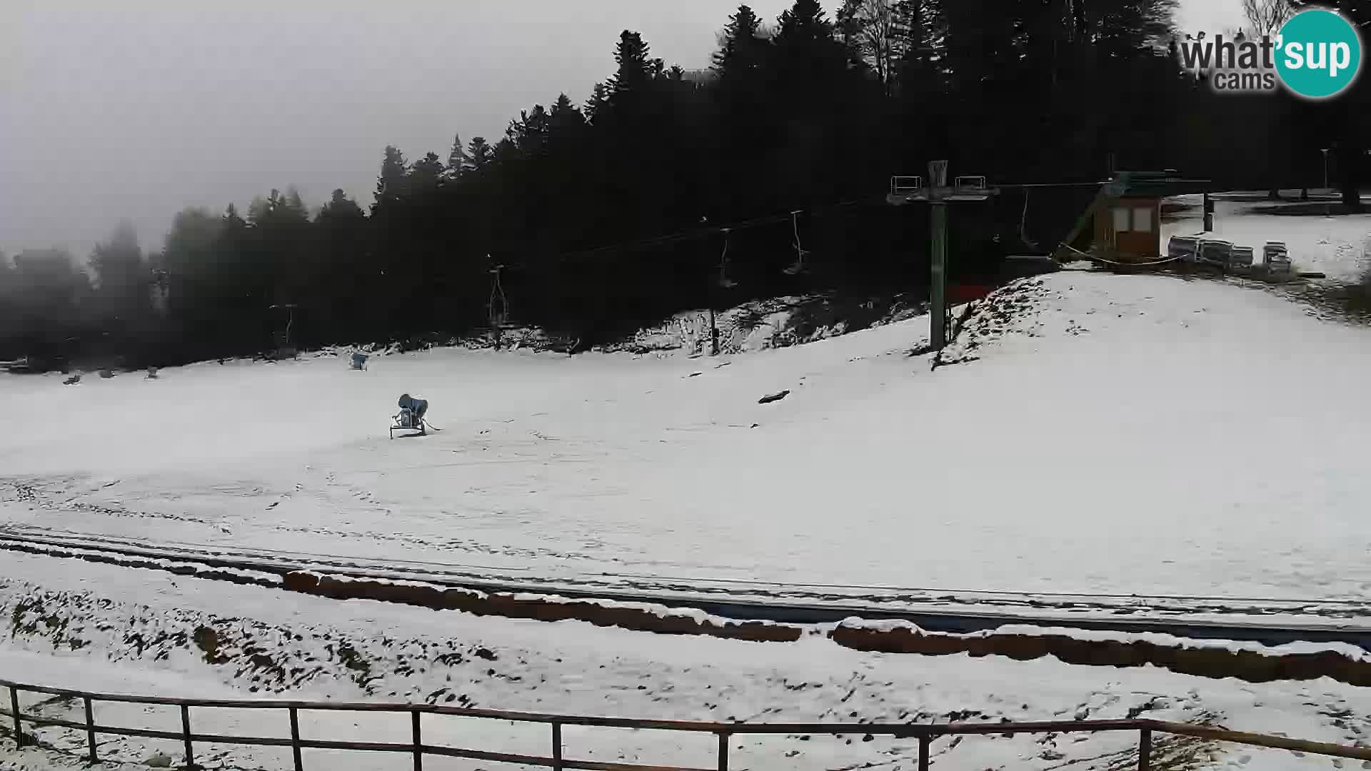 Livecam Maribor Pohorje – Bellevue