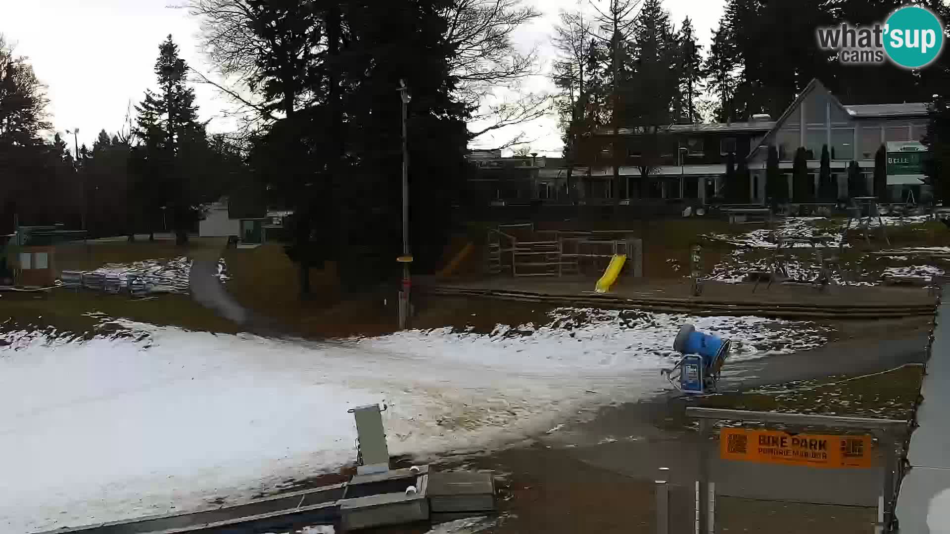 Station ski Livecam Maribor Pohorje – Bellevue