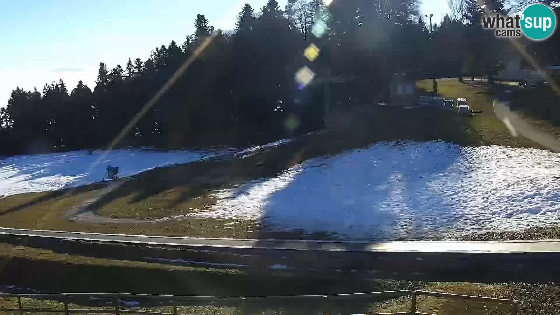 Estacion esqui en vivo Maribor Pohorje – Bellevue