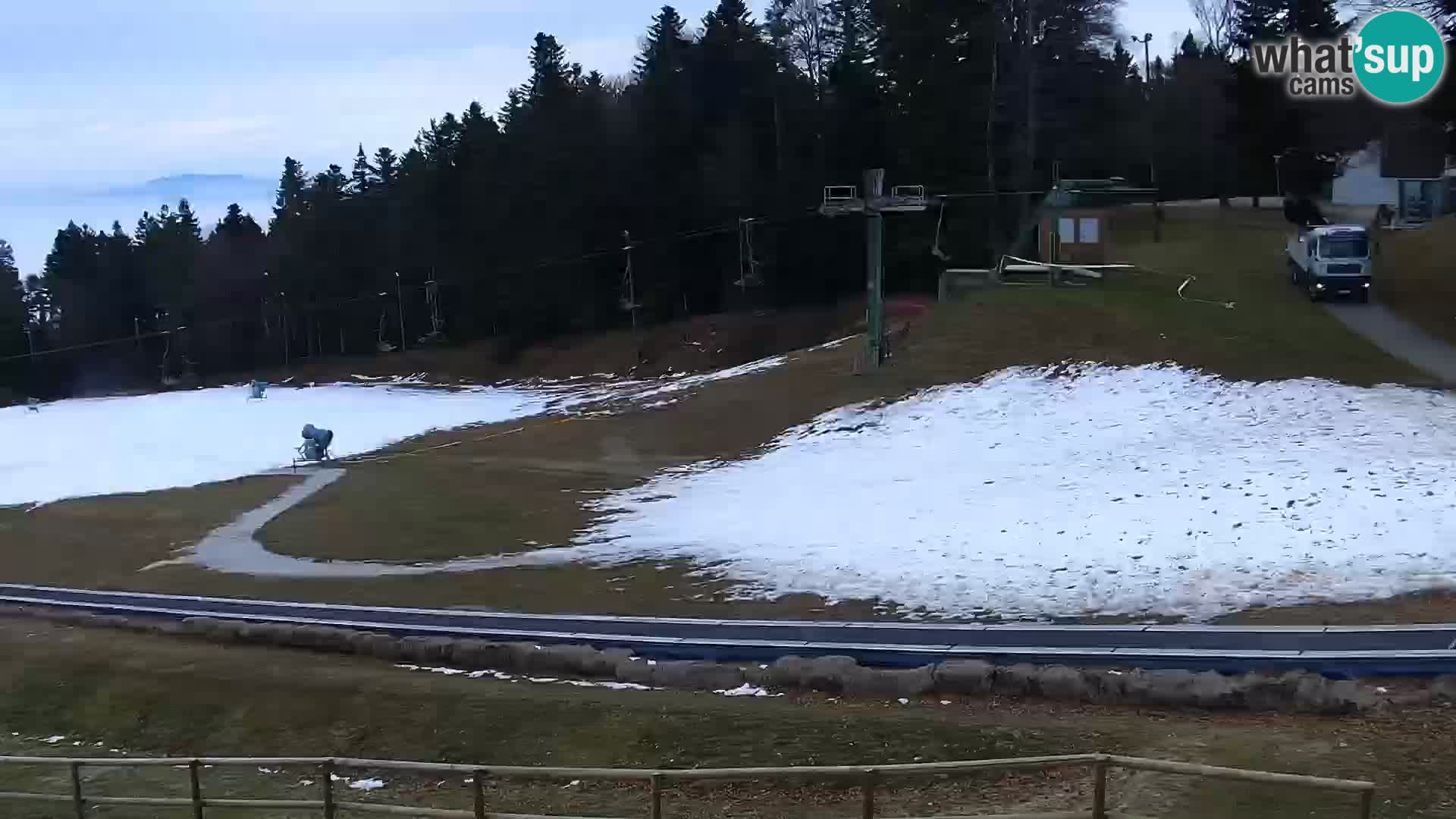 Estacion esqui  en vivo Maribor Pohorje – Bellevue