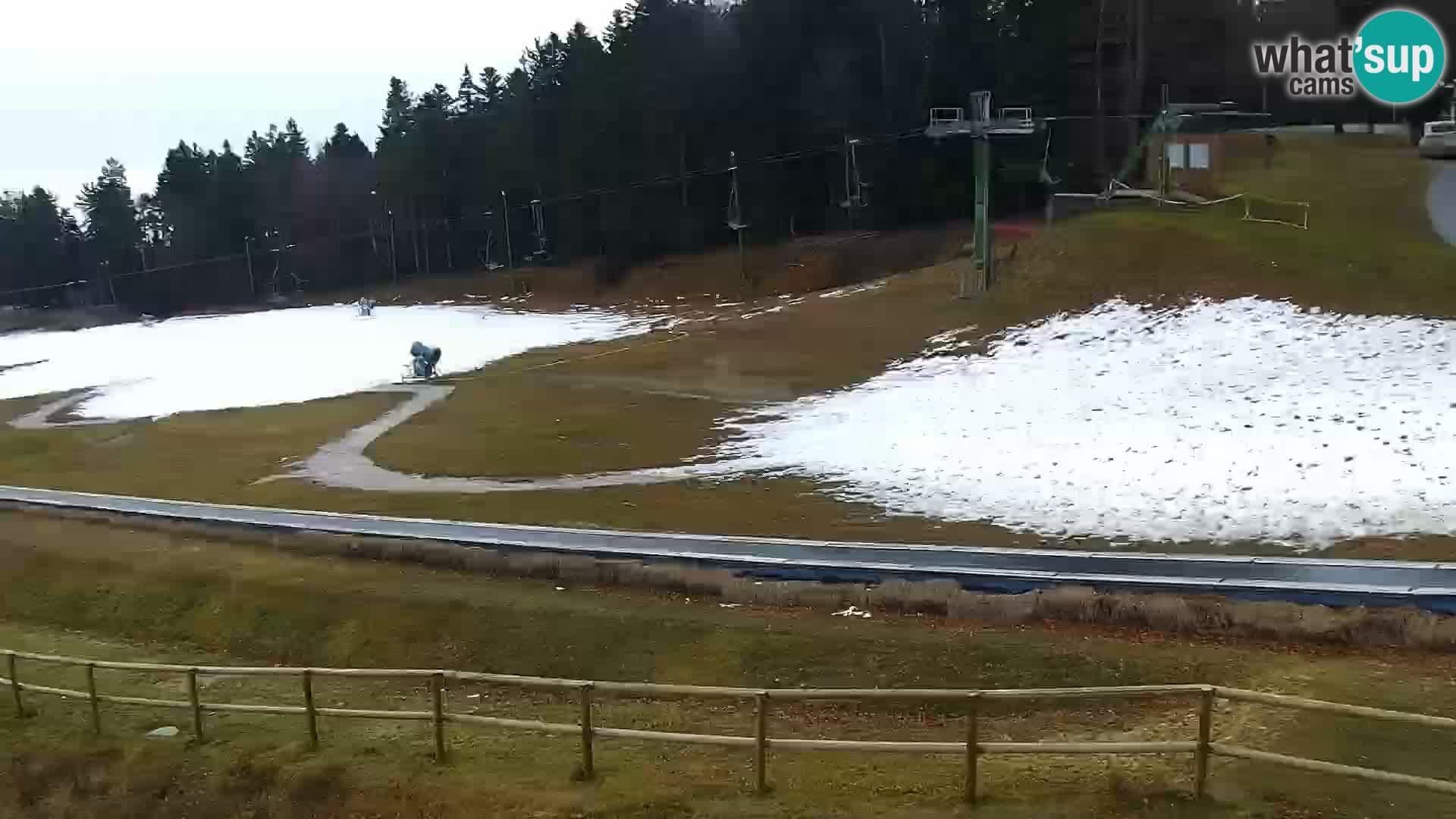 U živo Mariborsko Pohorje – Bellevue