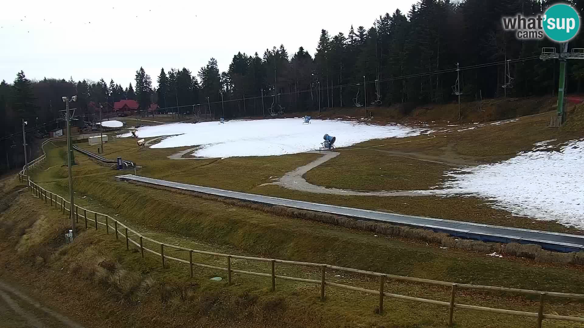 U živo Mariborsko Pohorje – Bellevue
