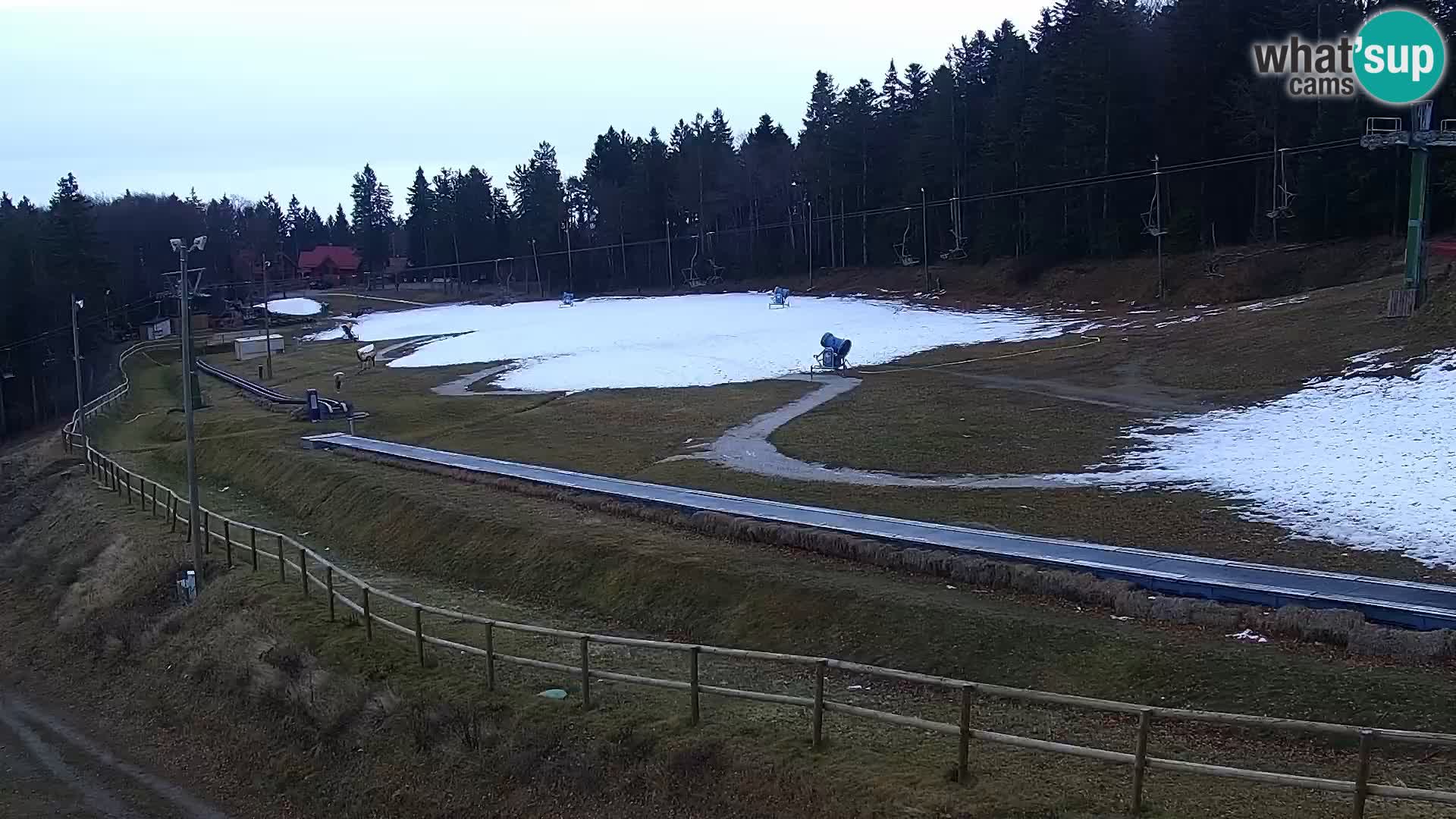 U živo Mariborsko Pohorje – Bellevue